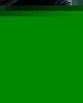 ۹Ϲϼ
